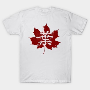 Japanese Maple Leaf T-Shirt, Her or His Gift, Canadian Maple T-Shirt